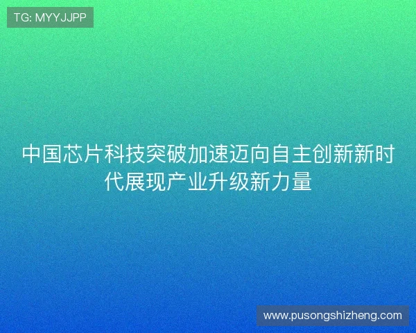 中国芯片科技突破加速迈向自主创新新时代展现产业升级新力量